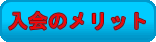 ������b�g
